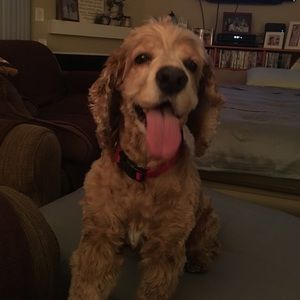 Meet your Posher, Wanda